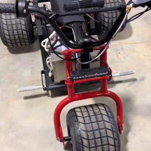 Election mini trike